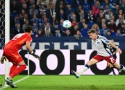 包含汉堡主教练暗示球队在下一场比赛中会有所斩获的词条