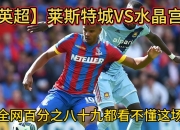 莱斯特城主场告捷，疾风步入欧冠区的简单介绍