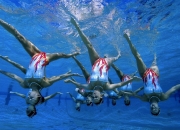  战至巅峰4全集免费 