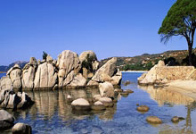 关于夏季联赛最新形势：北京国安高居榜首，热刺强势追赶，冠军归属成迷的信息